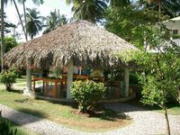 Garden of the Hotel CASAS DEL MAR NEPTUNIA - Las Terrenas - Dominican Republic
